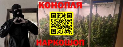 скорость Кинель